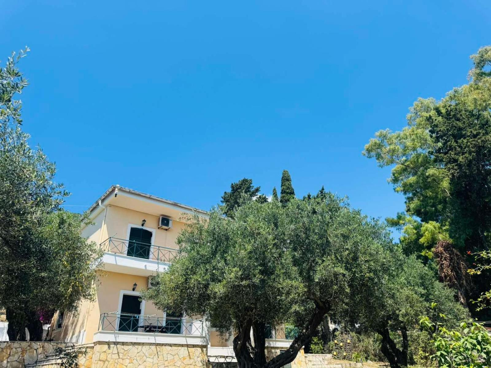 Olea Mare